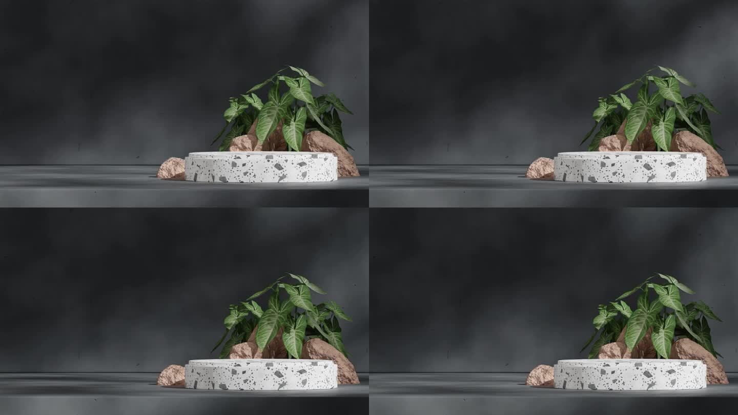 岩石和syngonium植物在3d镜头渲染场景模型白色黑色水磨石讲台循环无缝阴影动画
