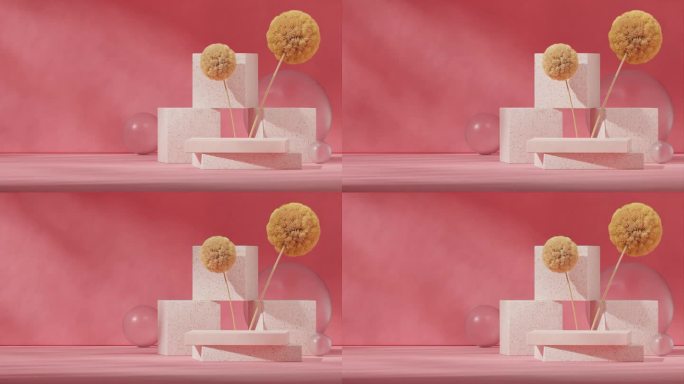 循环无缝阴影动画与黄色含羞草玻璃球粉红色的墙，3d视频渲染模型模板的红色水磨石讲台