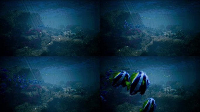 海底世界穿梭鱼群水草大屏开场梦幻展示