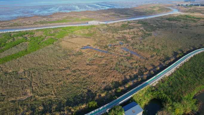 航拍福州闽江河口湿地公园