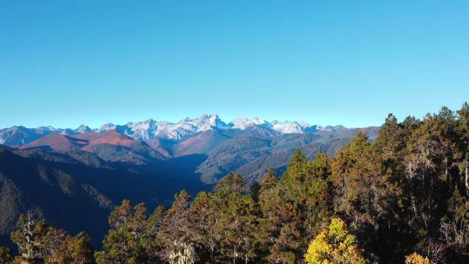 香格里拉森林雪山航拍