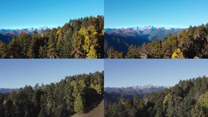 香格里拉森林雪山航拍