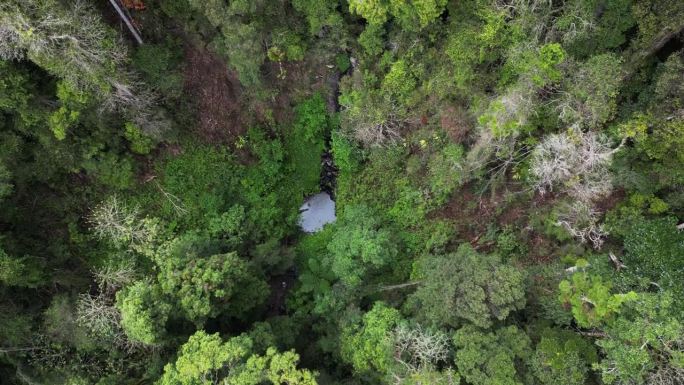 发现一个隐藏在茂密热带雨林深处的秘密自然形成的游泳洞。创意无人机视图