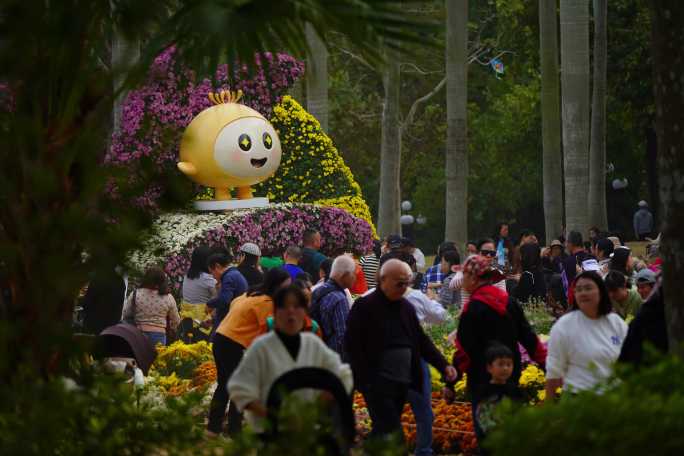 深圳东湖公园菊花展人潮延时