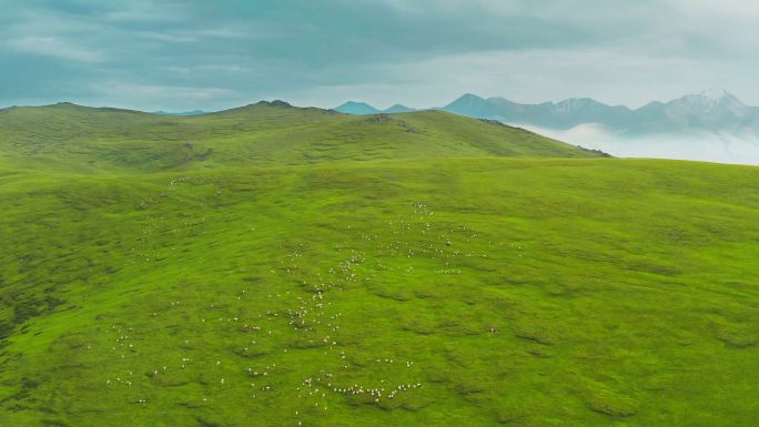 巴音布鲁克草原航拍，九曲十八弯，独库公路