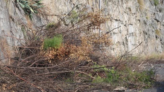 阿马尔菲海岸的山间狭窄道路上，岩石坠落、树木倒塌和山体滑坡的特写，阻断了通往城市的道路。假期和旅行的