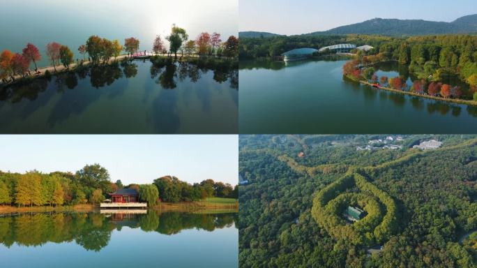 南京中山陵前湖燕雀湖水杉林天空之境明城墙