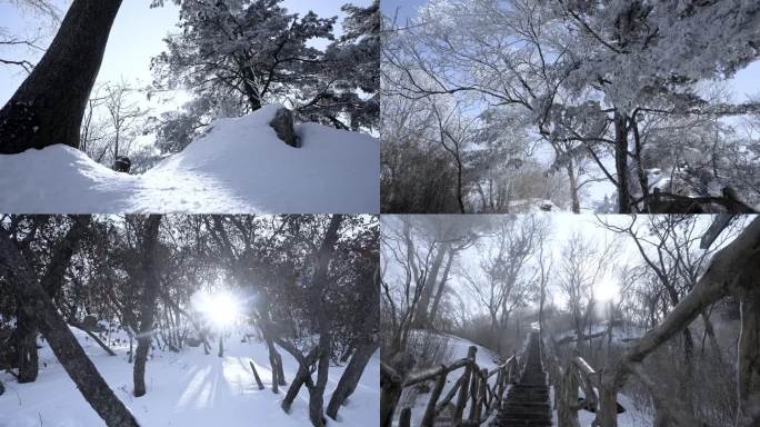 冬季雾凇唯美实拍