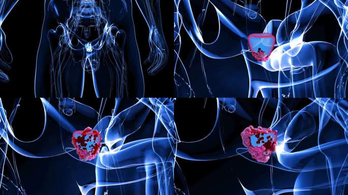 4K前列腺抽象动画