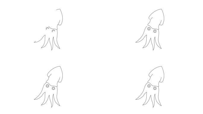 鱿鱼图标素描动画