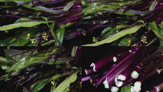 蔬菜菜心紫色