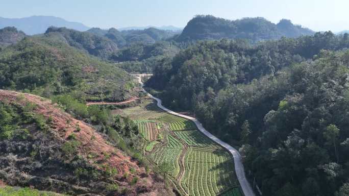 航拍江西大山深处全景