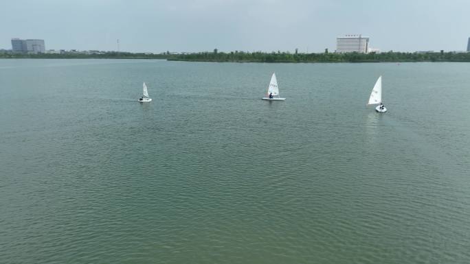 海门风光城市绿化 宣传航拍