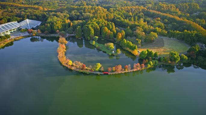 南京紫金山前湖公园