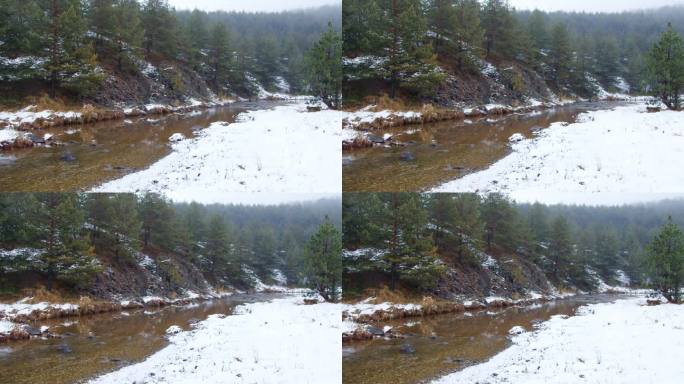 雪落在一条浅浅的河上，背景是常绿的树木，覆盖着地面