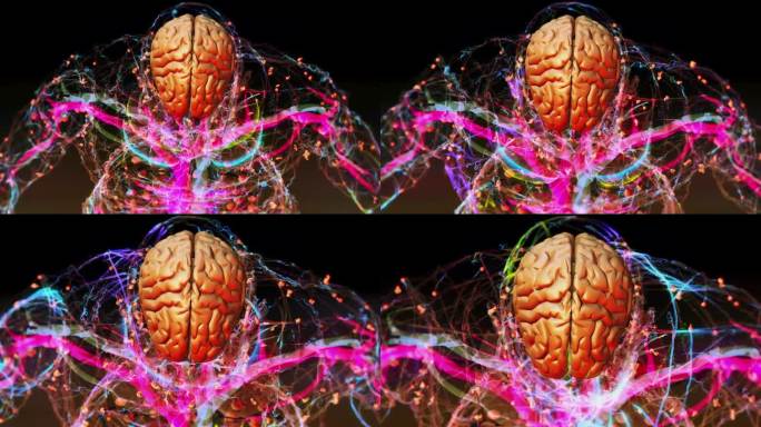 人脑神经系统脑神经脑电波意识