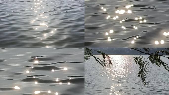 阳光树影逆光光影投影水反光微风吹水面