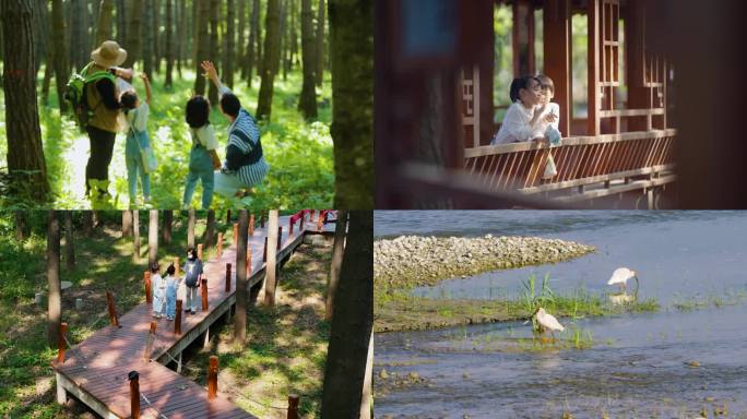 秦岭青山绿水大熊猫秦岭四宝