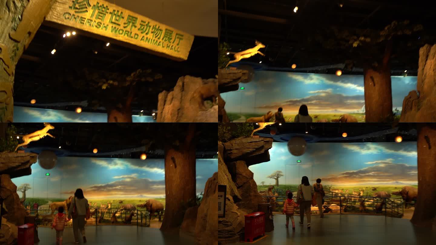 陕西自然博物馆15