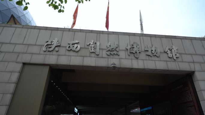 陕西自然博物馆77