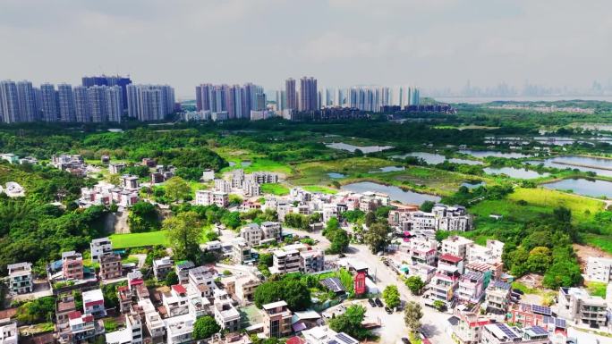 无人机拍摄的香港夏季养鱼场