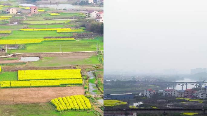 衡阳珠晖区茶山中学衡阳东站轨道高铁油菜花