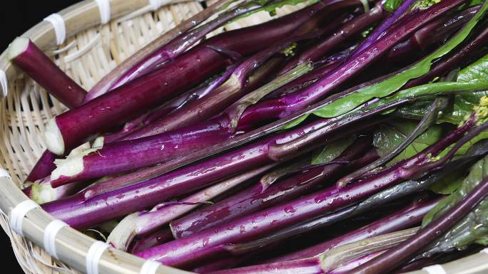 蔬菜菜心紫色菜心