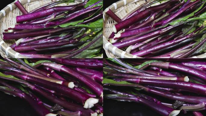 蔬菜菜心紫色菜心