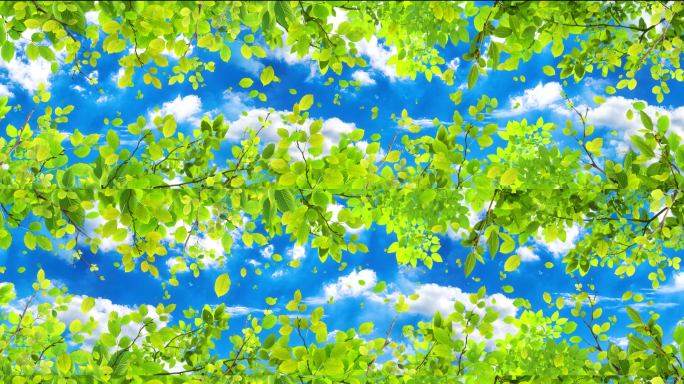 绿色春天树叶天幕投影8k