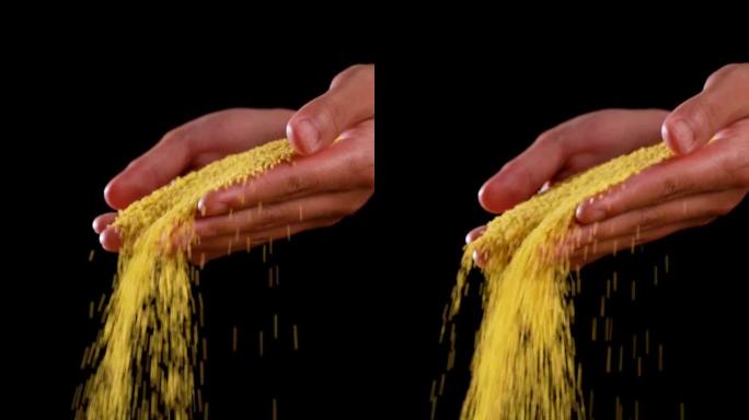 东北杂粮黄小米