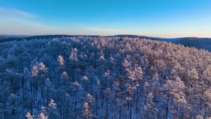 林海雪原 唯美原始森林雾凇