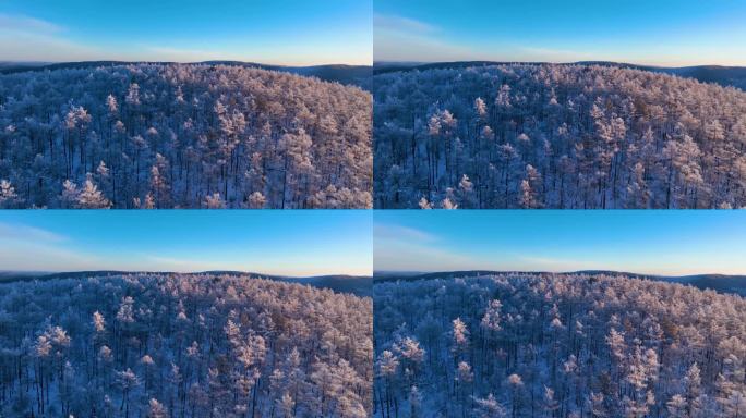 林海雪原 唯美原始森林雾凇