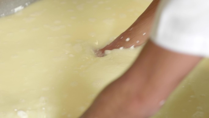 奶酪制作流程
