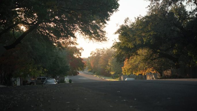 在黄金时段，附近的街道有很多自然和树木。
