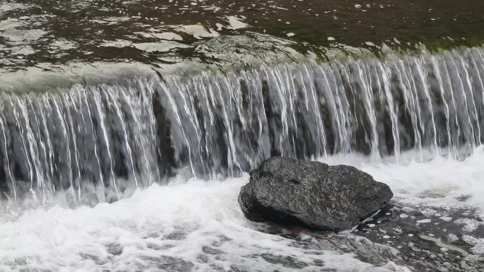 城市排污口水变清