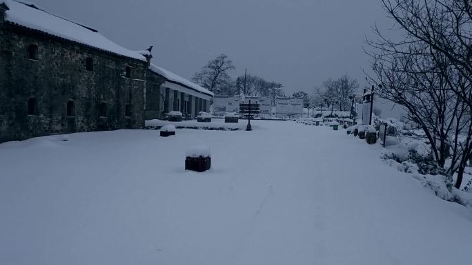 大雪村庄视频