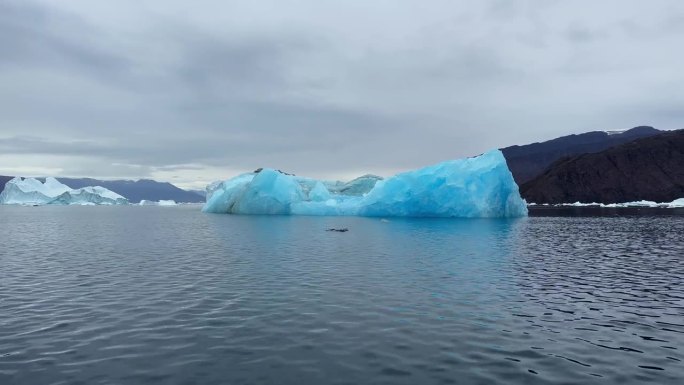 德约峡湾湛蓝冰山全景。Scoresbysund,格陵兰岛。