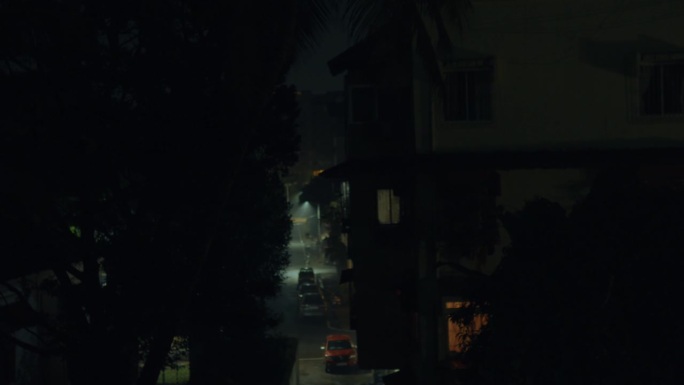 这是一个阴森而悬疑的夜晚的印度街道，黑暗笼罩着周围，昏暗的路灯努力穿透不祥的气氛。
