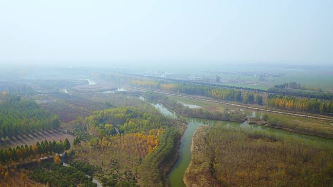 东明黄河公园