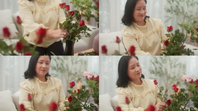 一位亚洲老妇人正专注于整理和修剪玫瑰花束，并将其放入花瓶中装饰客厅。