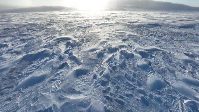 冬季草原风吹雪白毛风雪霁阳光