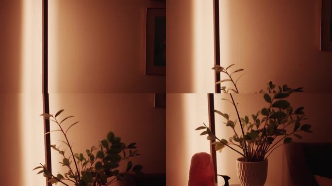 LED灯架在夜晚照亮客厅