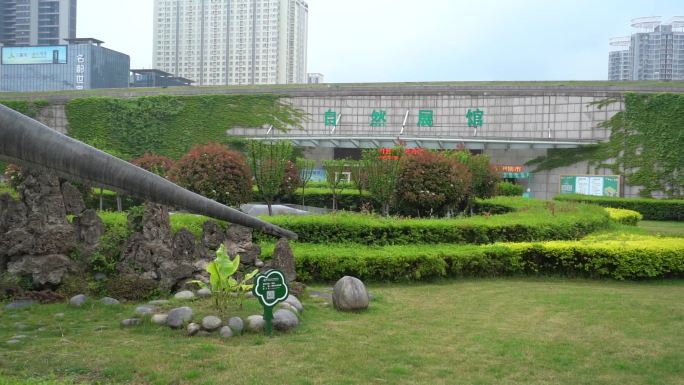 陕西自然博物馆53