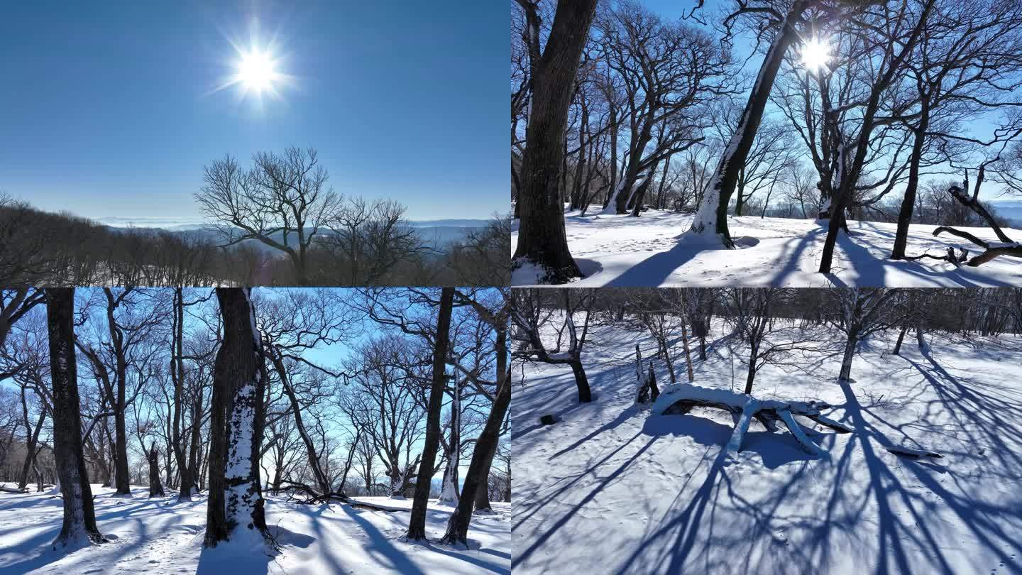 东北吉林长白山冬天原始森林雪景枯树雪景