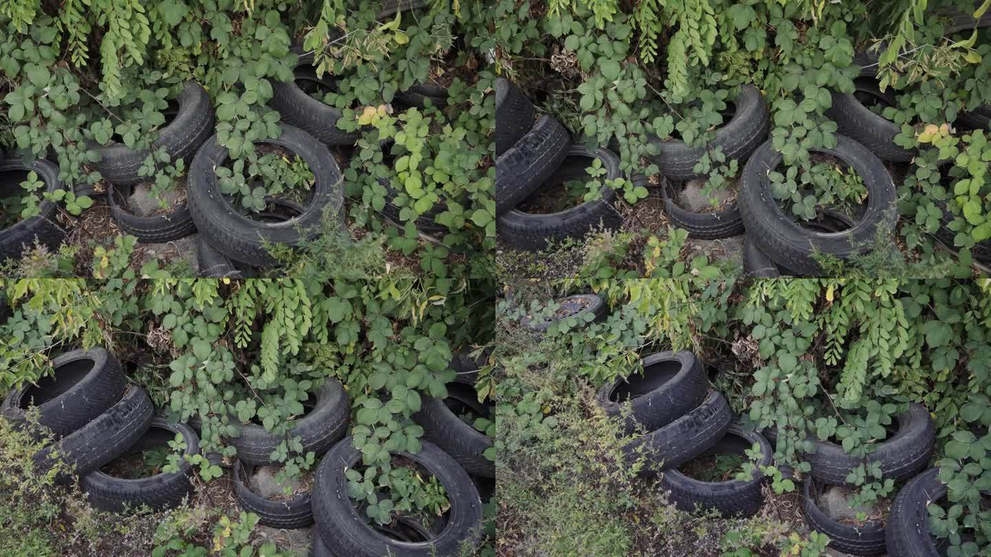 非法弃置的废旧汽车轮胎
