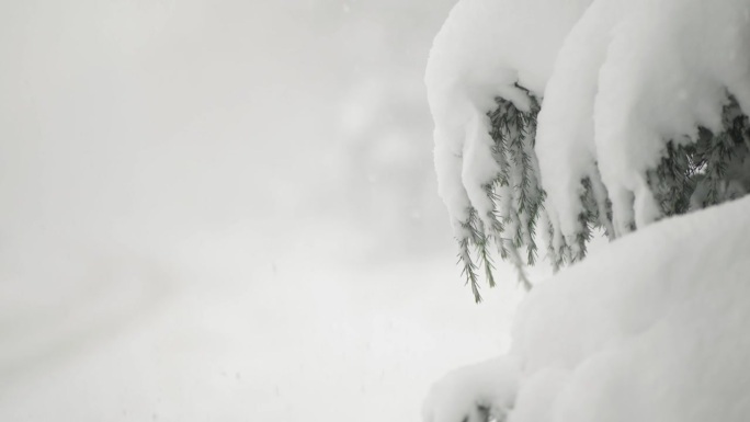 冬天下着大雪