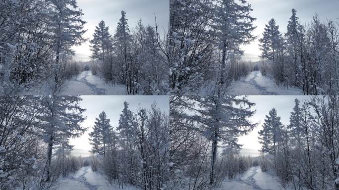 航拍林海雪原雪林和山路