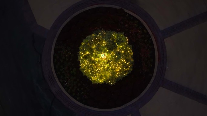 空中俯瞰的黄色灯光的圣诞树在美国街头户外-盘旋拍摄