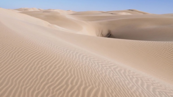 奈拉湖美丽宁静的沙丘。撒哈拉沙漠与大西洋交汇的地方，摩洛哥的肯尼菲斯国家公园。