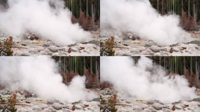 来自美国黄石国家公园猛犸温泉的蒸汽